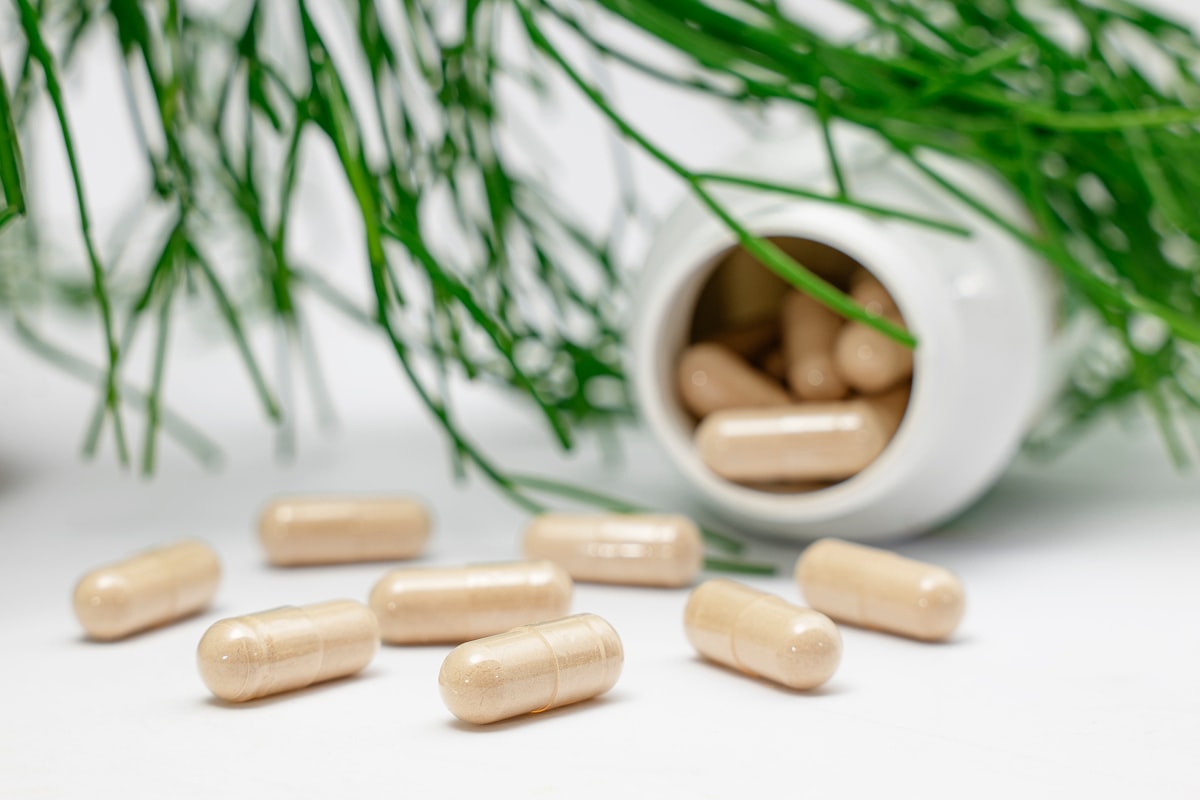 Recovery Strategies and Active Rest